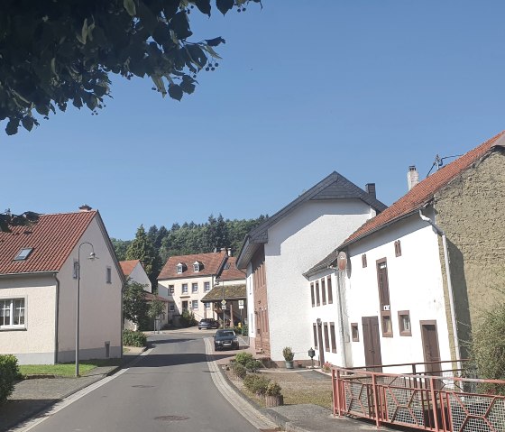 Dorfstra&szlig;e in Dahlem mit traditionellen H&auml;usern und roten D&auml;chern unter klarem, blauem Himmel. Ein Auto parkt am Stra&szlig;enrand., &copy; TI Bitburger Land