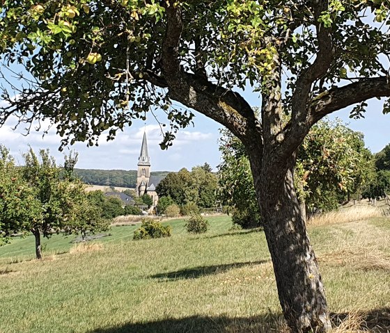 Ein Baum mit gr&uuml;nen Bl&auml;ttern und &Auml;pfeln im Vordergrund, dahinter eine Wiese und ein Kirchturm in der Ferne unter blauem Himmel., &copy; TI Bitburger Land - Steffi Wagner