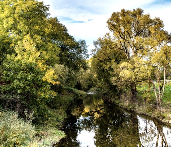 La Pr&uuml;m coule &agrave; travers un paysage automnal &agrave; Oberweis, entour&eacute;e d'arbres aux feuilles vertes et jaunes. Le ciel est l&eacute;g&egrave;rement nuageux., &copy; TI Bitburger Land