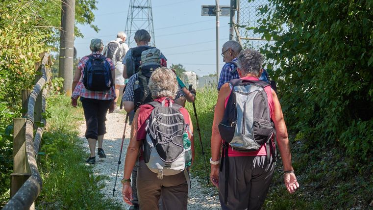 A group of hikers is walking along a narrow path, surrounded by trees and bushes. In the background, a power pole is visible.