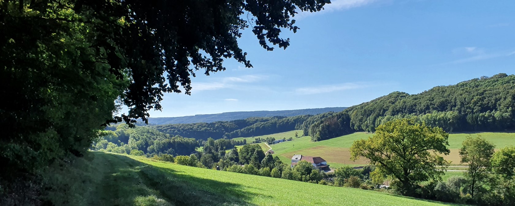 Panoramisch uitzicht over de Enz vallei met groene weiden, bossen en een boerderij onder een blauwe lucht. Schaduw van bomen op de voorgrond., &copy; TI BItburger Land - Steffi Wagner