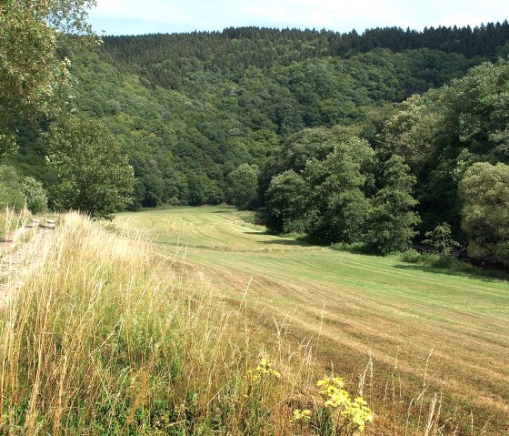 bei Gentingen, &copy; V. Teuschler