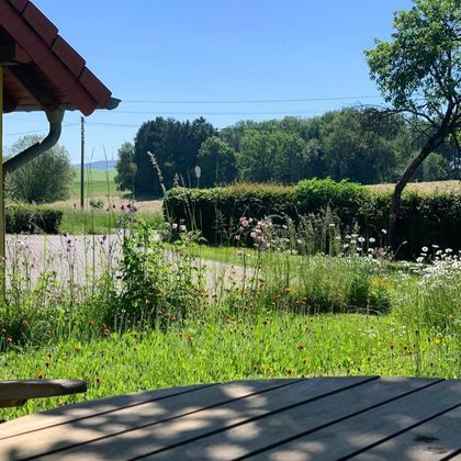A beautiful garden with colorful wildflowers and green grass. In the background, you can see trees and a clear blue sky.