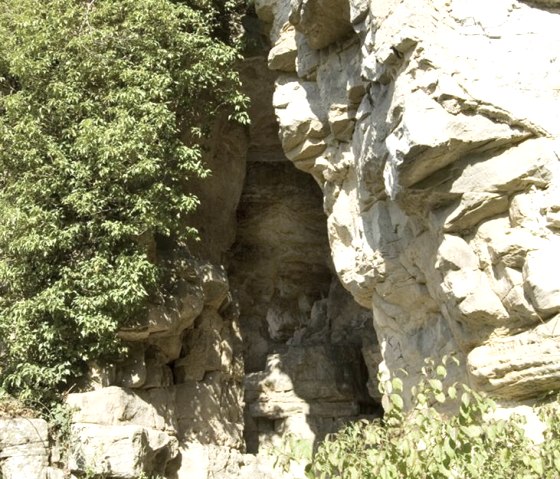 Environs