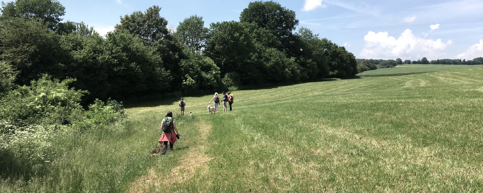 Een groep mensen loopt over een groene weide, omringd door bomen, onder een strakblauwe hemel., &copy; TI Bitburger Land