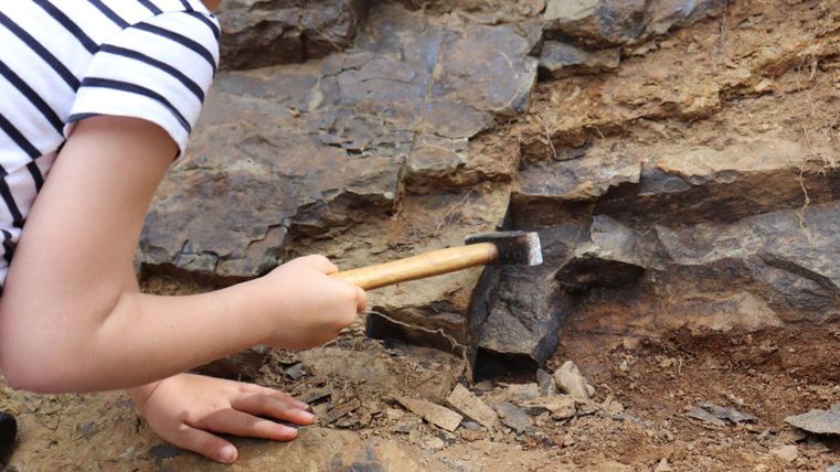 A child is examining rocks with a hammer and brush. The environment consists of earthy soil and rocky ground.