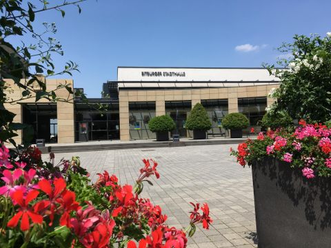A modern building with large windows and well-maintained plants in the foreground. Colorful flower beds add color and life to the surroundings.