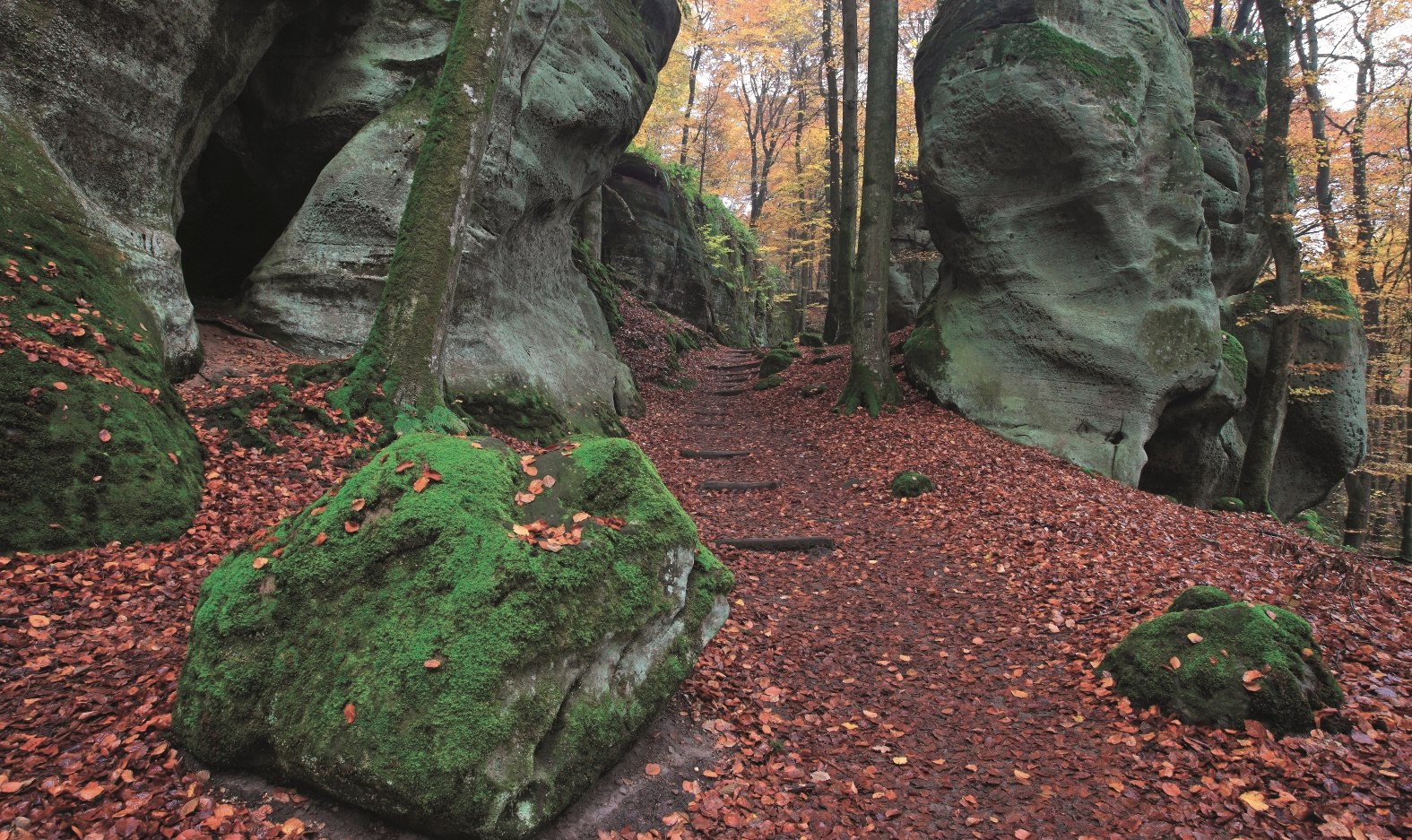 Wanderwege durch Felsen im Naturwanderpark delux, © Naturpark Südeifel, Ch. Schleder