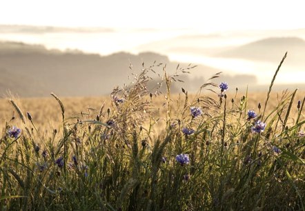 Ochtendhumeur met jeuk