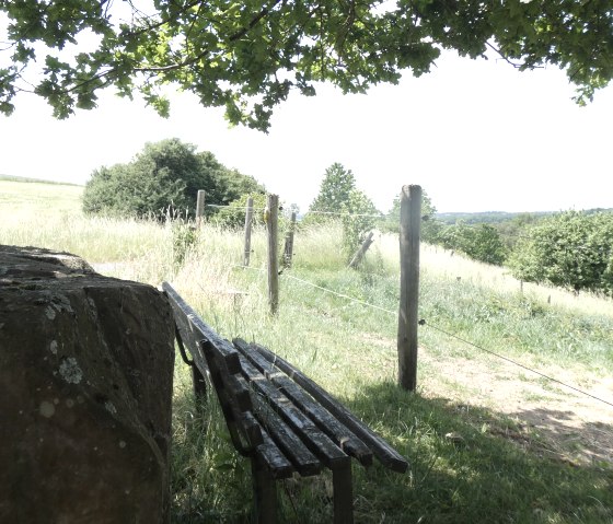 Un banc &agrave; l'ombre d'un arbre, &agrave; c&ocirc;t&eacute; d'une grosse pierre. En arri&egrave;re-plan, une prairie verte et une cl&ocirc;ture qui divise le paysage., &copy; TI Bitburger Land