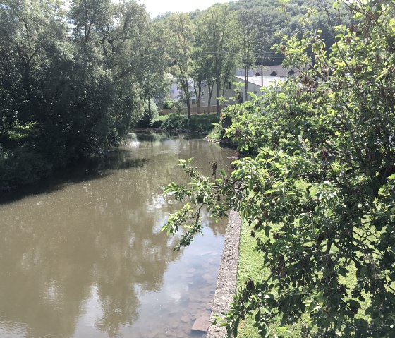Een rustige rivier, omgeven door weelderig groen en bomen, stroomt door een landelijk gebied. Op de achtergrond zijn gebouwen te zien., &copy; TI Bitburger Land