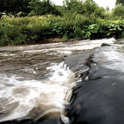 Ein kleiner Wasserfall in einem Fluss, umgeben von dichter Vegetation und Bäumen am Ufer., © Naturpark Südeifel, R. Clement