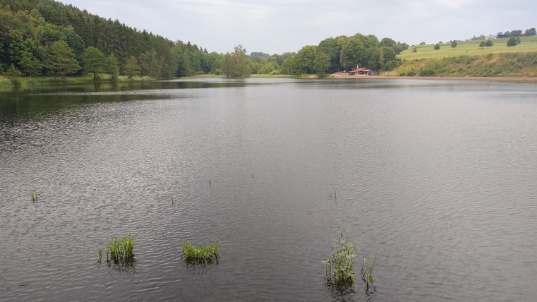 A peaceful lake surrounded by trees and gentle hills. The water surface is smooth and reflects the sky.