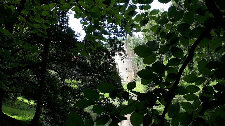 Un regard à travers un feuillage vert sur une cascade cachée. L'environnement est calme et naturel.