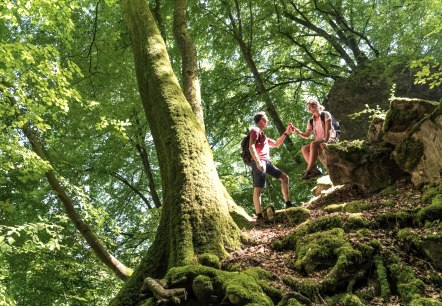 Gemeinsam Wandern im NaturWanderPark delux, © Eifel Tourismus GmbH, D. Ketz