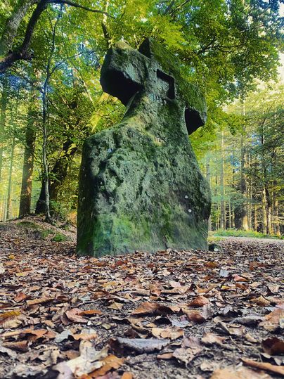 Ein großer, moosbedeckter Stein mit einem Kreuz steht im Wald. Die Umgebung ist von buntem Laub und hohen Bäumen umgeben.