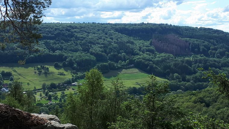 Eine weite, grüne Landschaft mit sanften Hügeln und Wäldern. Der Himmel ist teilweise bewölkt und es gibt einige Lichtungen.