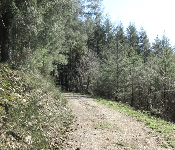 afbeelding_8832, &copy; Felsenland S&uuml;deifel Tourismus GmbH