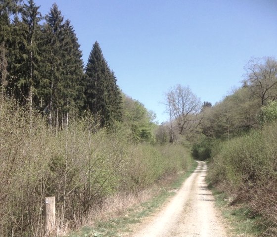 Wanderweg 15, &copy; Tourist-Info Islek