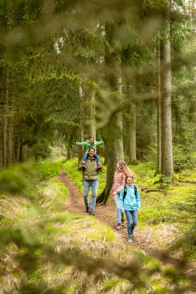 Ein Mann und 3 Kinder wandern durch den Wald