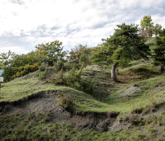 Groen heuvellandschap in het natuurreservaat Scharren bij Dockendorf met bomen en een natuurreservaatbord onder een bewolkte hemel., &copy; Tourist-Info Bitburger Land