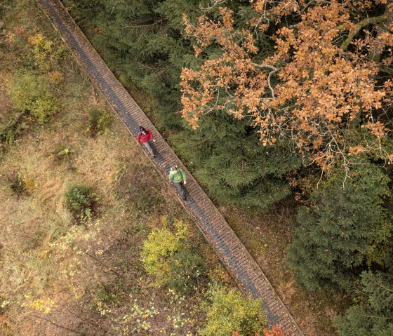 Wandelaars op een loopbrug op de Schneifel heideweg in de herfst, © Eifel Tourismus GmbH, Dominik Ketz