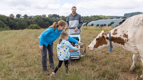 Famille, mère père enfant sur une prairie ensemble avec une vache