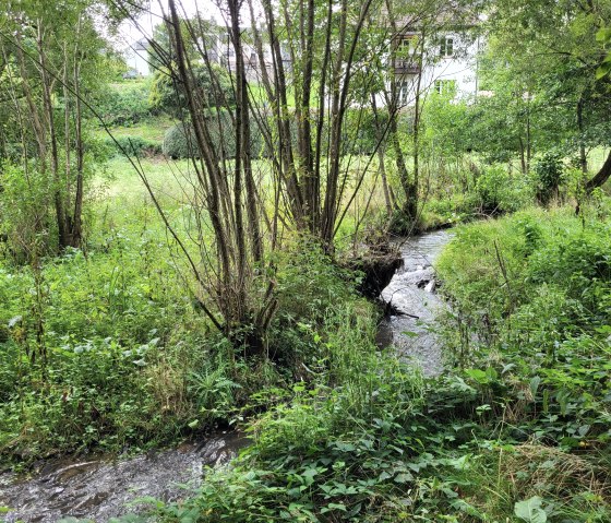 20240818_161828_resized, &copy; Tourist-Information Islek