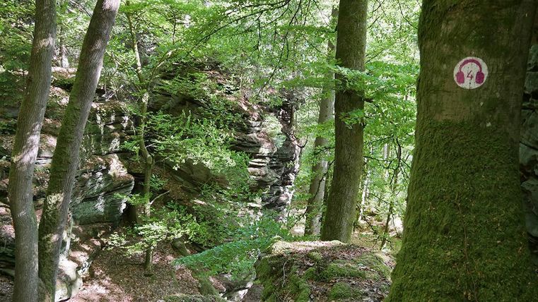 Ein ruhiger Wald mit grünen Bäumen und Felsen im Hintergrund. Ein Weg ist durch die Natur sichtbar, und ein Schild mit einem Kopfhörer-Symbol ist am Baum angebracht.