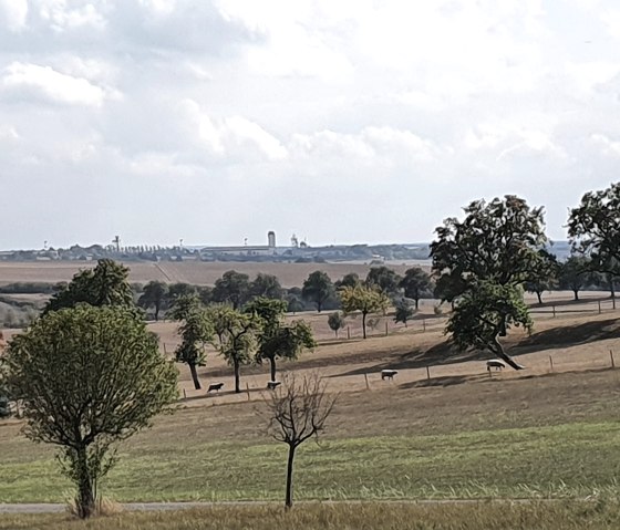 Vaste paysage avec des arbres &eacute;pars et vue sur la base a&eacute;rienne de Spangdahlem &agrave; l'horizon sous un ciel nuageux., &copy; TI BItburger Land - Steffi Wagner