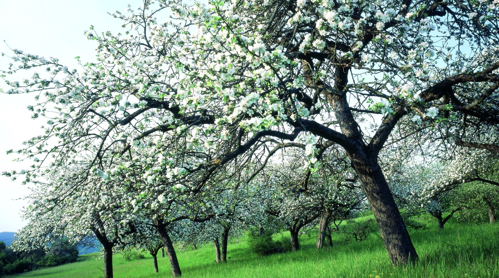 Der Naturpark S&uuml;deifel, &copy; Eifel Tourismus/H.J. Sittig