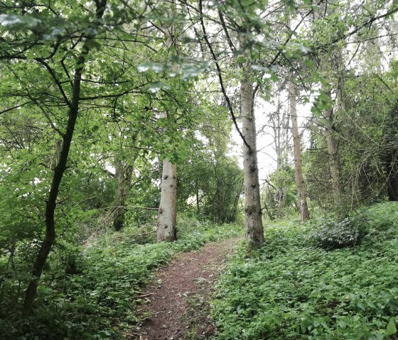 Welschbillig, &copy; Deutsch-Luxemburgische Tourist-Information