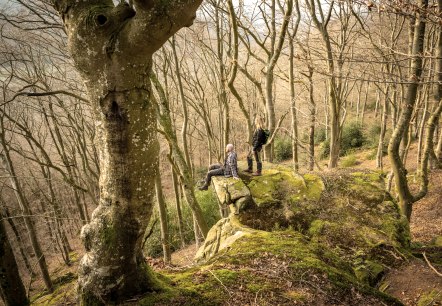 Deux personnes sont debout et assises sur un rocher recouvert de mousse dans une for&ecirc;t d&eacute;nud&eacute;e. Les arbres sont hauts et denses, sans feuillage., &copy; Eifel Tourismus GmbH, D. Ketz