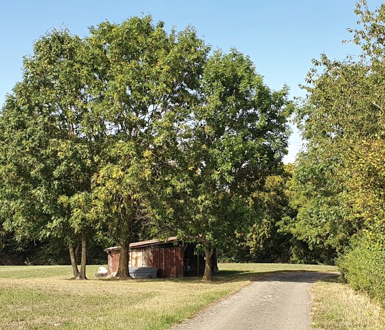 Kleine Scheune unter B&auml;umen auf einer Wiese, daneben ein Weg. Blauer Himmel und gr&uuml;ne Vegetation., &copy; TI Bitburger Land - Steffi Wagner