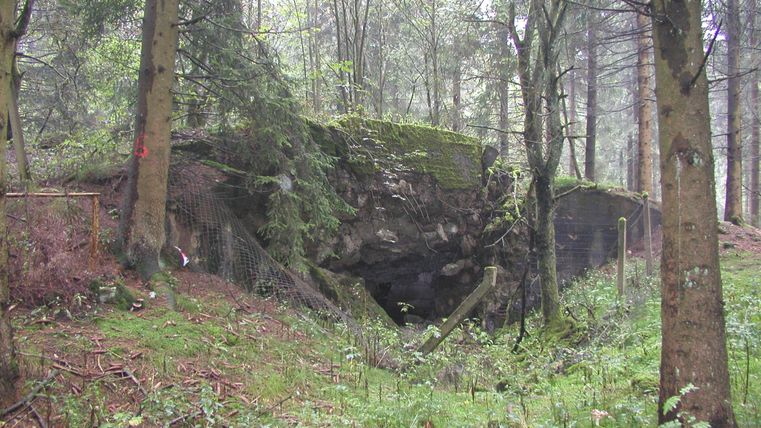 Une grotte mystérieuse dans la forêt, entourée de grands arbres et d'une végétation dense. La mousse recouvre l'entrée et l'environnement semble calme et intact.