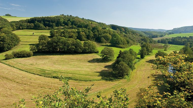 Landscape in the Eifel with green meadows and wooded hills under a blue sky.