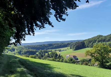 Panoramisch uitzicht over de Enz vallei met groene weiden, bossen en een boerderij onder een blauwe lucht. Schaduw van bomen op de voorgrond., &copy; TI BItburger Land - Steffi Wagner