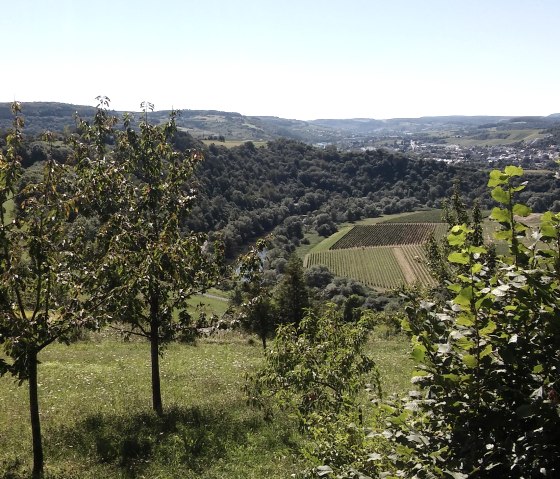 Sentier de randonn&eacute;e 16, &copy; Deutsch-Luxemburgische Tourist-Information