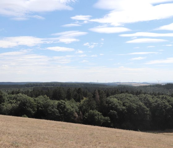 Uitzicht over de Eifel bij Pl&uuml;tscheid, &copy; Tourist-Information Islek