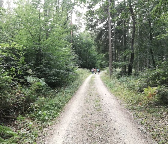 zemmer, &copy; Deutsch Luxemburgische Tourist Info