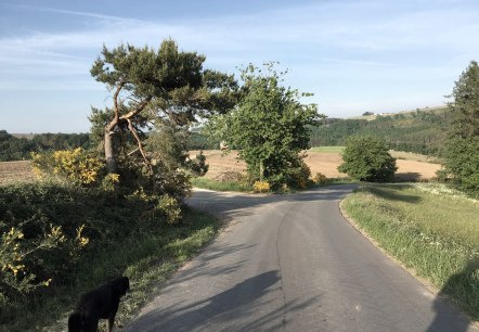 img_1071, &copy; Manuel Norta, Ammeldingen