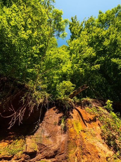 Vue sur un mur de grès bigarré avec une verdure luxuriante et un ciel bleu.