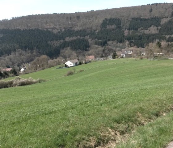 Gr&uuml;ne Wiesen erstrecken sich vor einem kleinen Dorf mit vereinzelten H&auml;usern, umgeben von bewaldeten H&uuml;geln unter blauem Himmel., &copy; R. Schaal