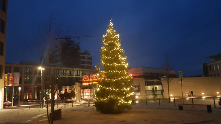 Ein beleuchteter Weihnachtsbaum steht in einem Platz bei Abenddämmerung. Die Umgebung ist ruhig und modern gestaltet.