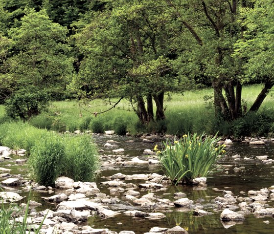 La rivière Prüm sur le Prümtalweg, © Naturpark Südeifel, Pierre Haas