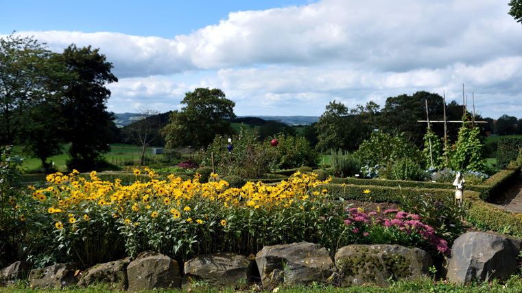 A beautiful garden with colorful sunflowers and other plants. In the background, trees and a blue sky with clouds can be seen.