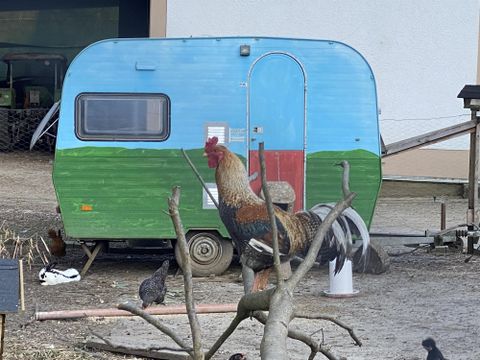 Een kleurrijke camper staat naast een haan en andere vogels. De omgeving is landelijk en biedt een rustieke charme.