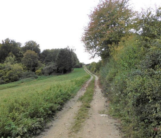 M&ouml;hn, &copy; Nicole Zimmer