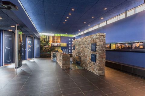 A modern exhibition interior with blue walls and stone walls. There are information displays and a bright, inviting atmosphere.
