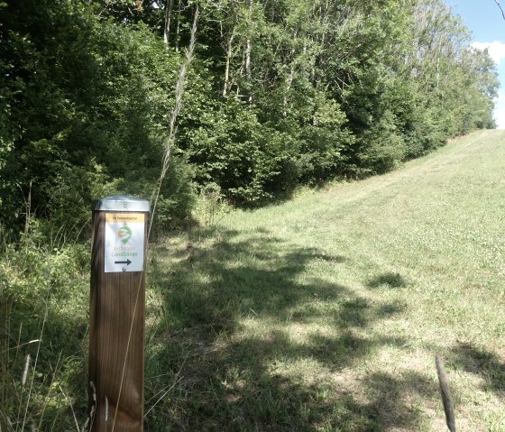 Un panneau indicateur des Bitburger LandG&auml;nge dans la vall&eacute;e du Kannenbach, entour&eacute; d'une prairie verte et d'arbres sous un ciel bleu., &copy; Tourist-Information Bitburger Land